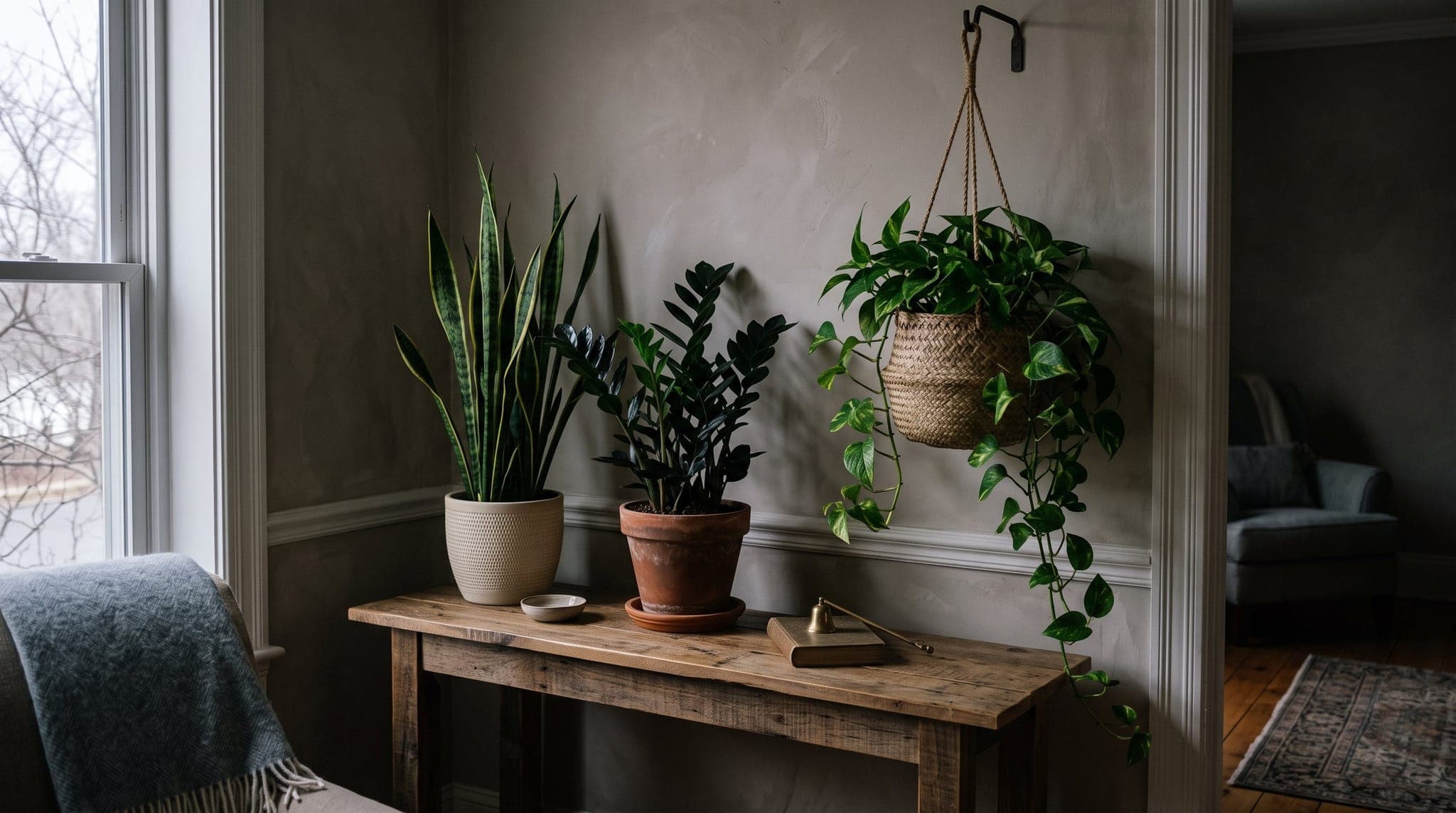Snake plant, pothos, and ZZ plant grouped on a wooden console table in the dim corner of a living room lit only by a nearby window on an overcast winter day