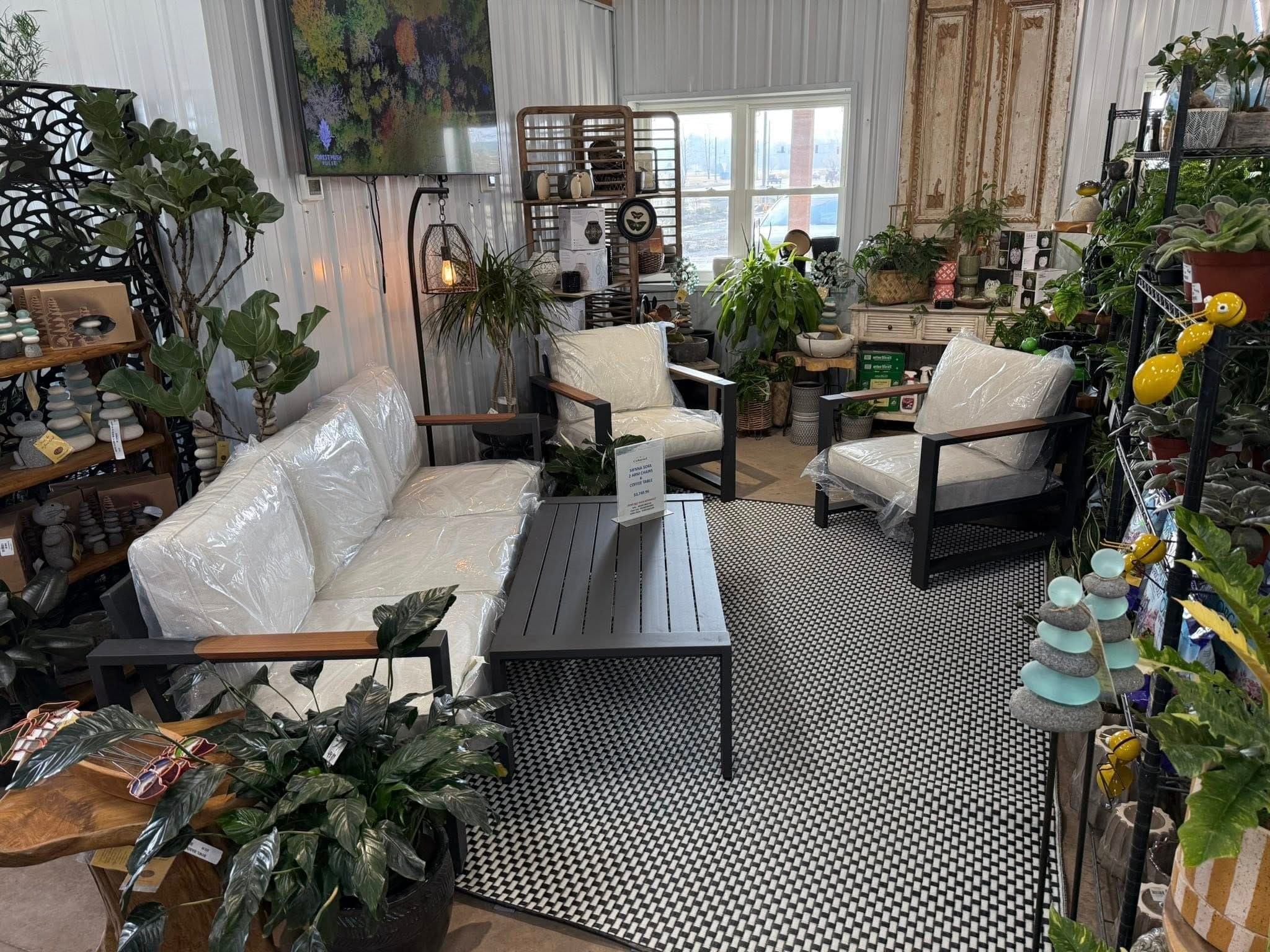 Cream cushioned outdoor sofa and chairs with black metal frames on display