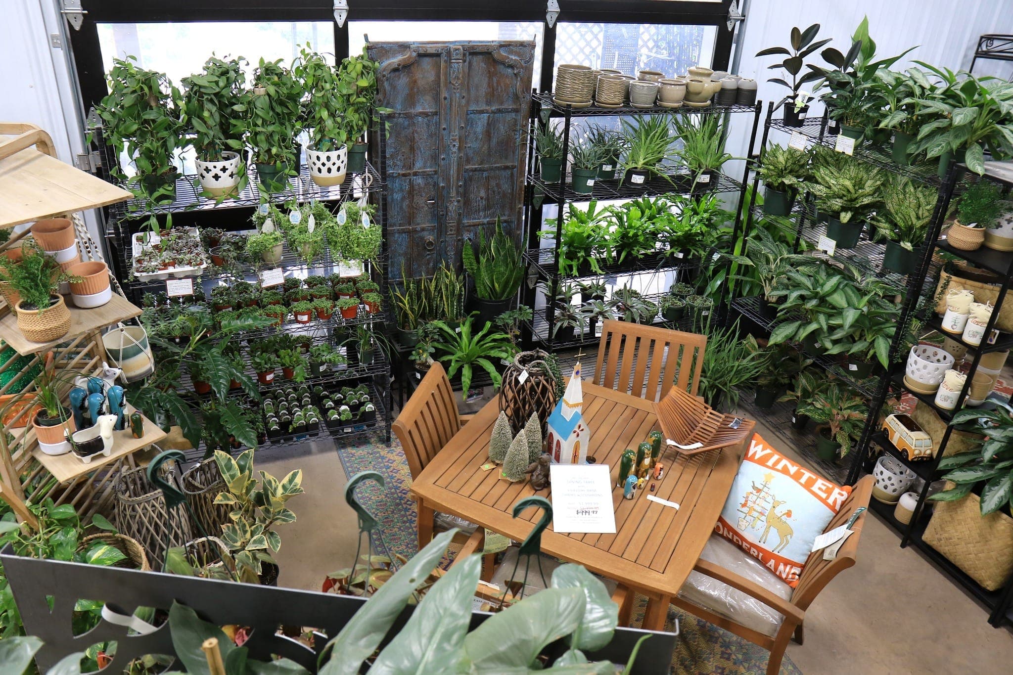 Houseplants