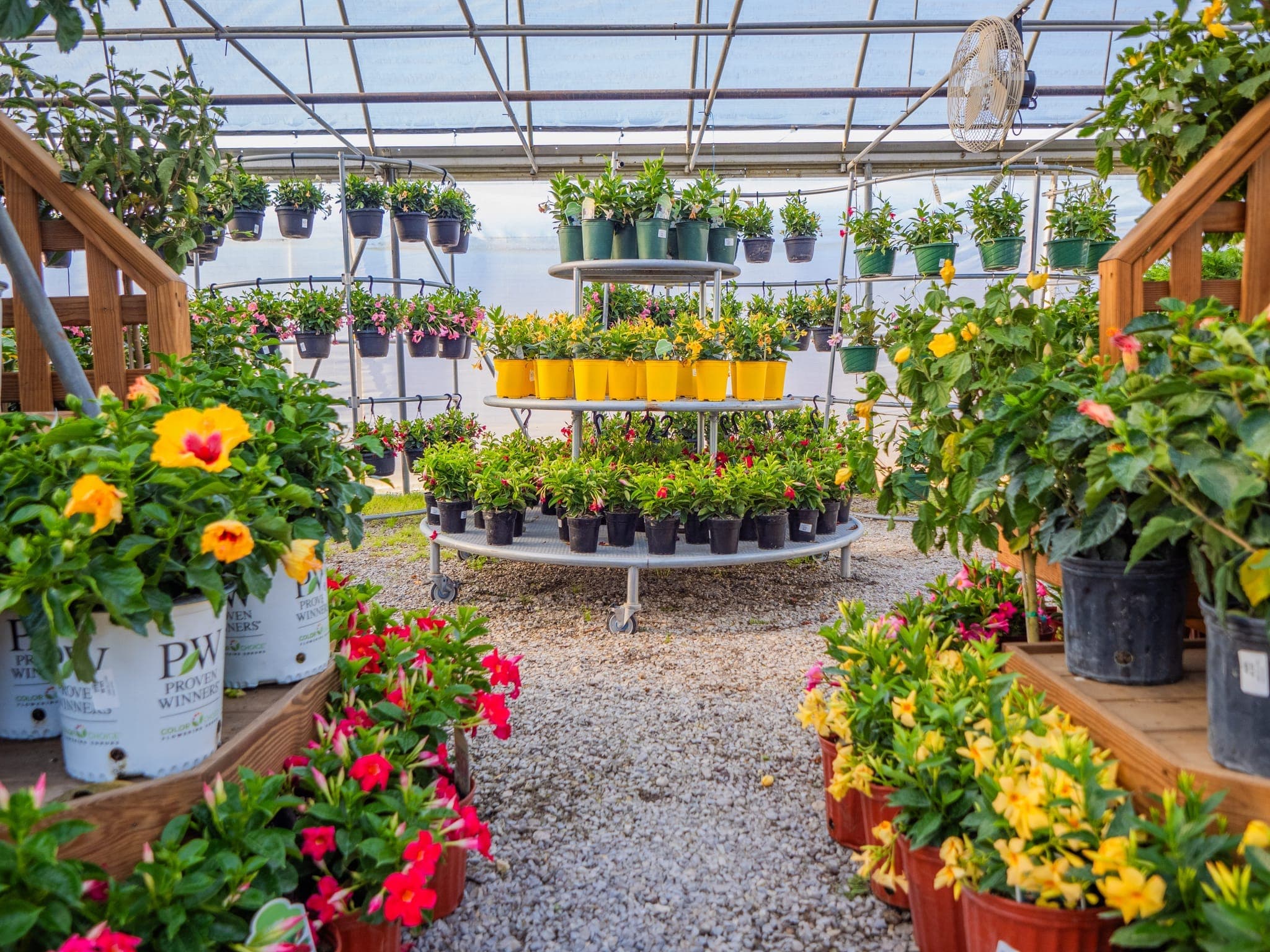 Beautiful plant display showcasing seasonal selections