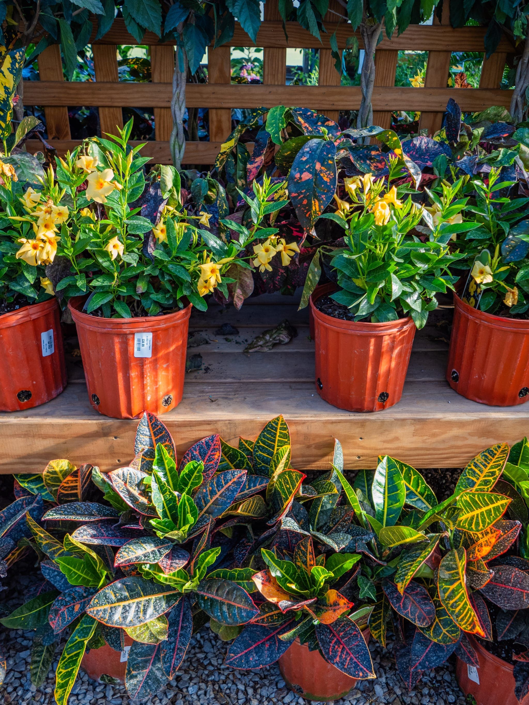 Hand-selected pottery and garden containers on display