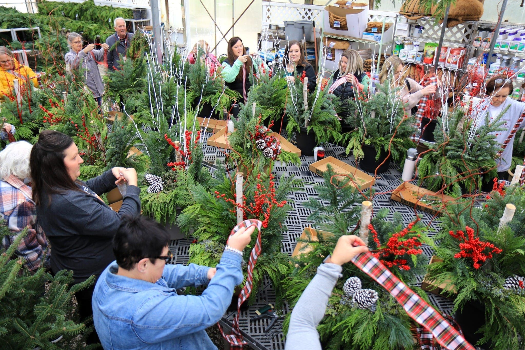 Hands assembling a fresh evergreen wreath at a Colonial Classics workshop table