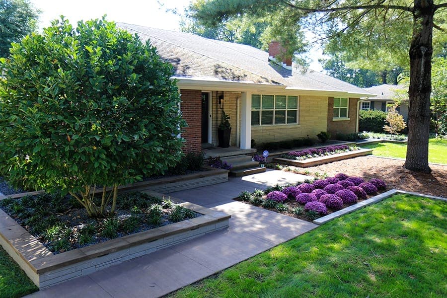 Professional landscape design with layered plantings