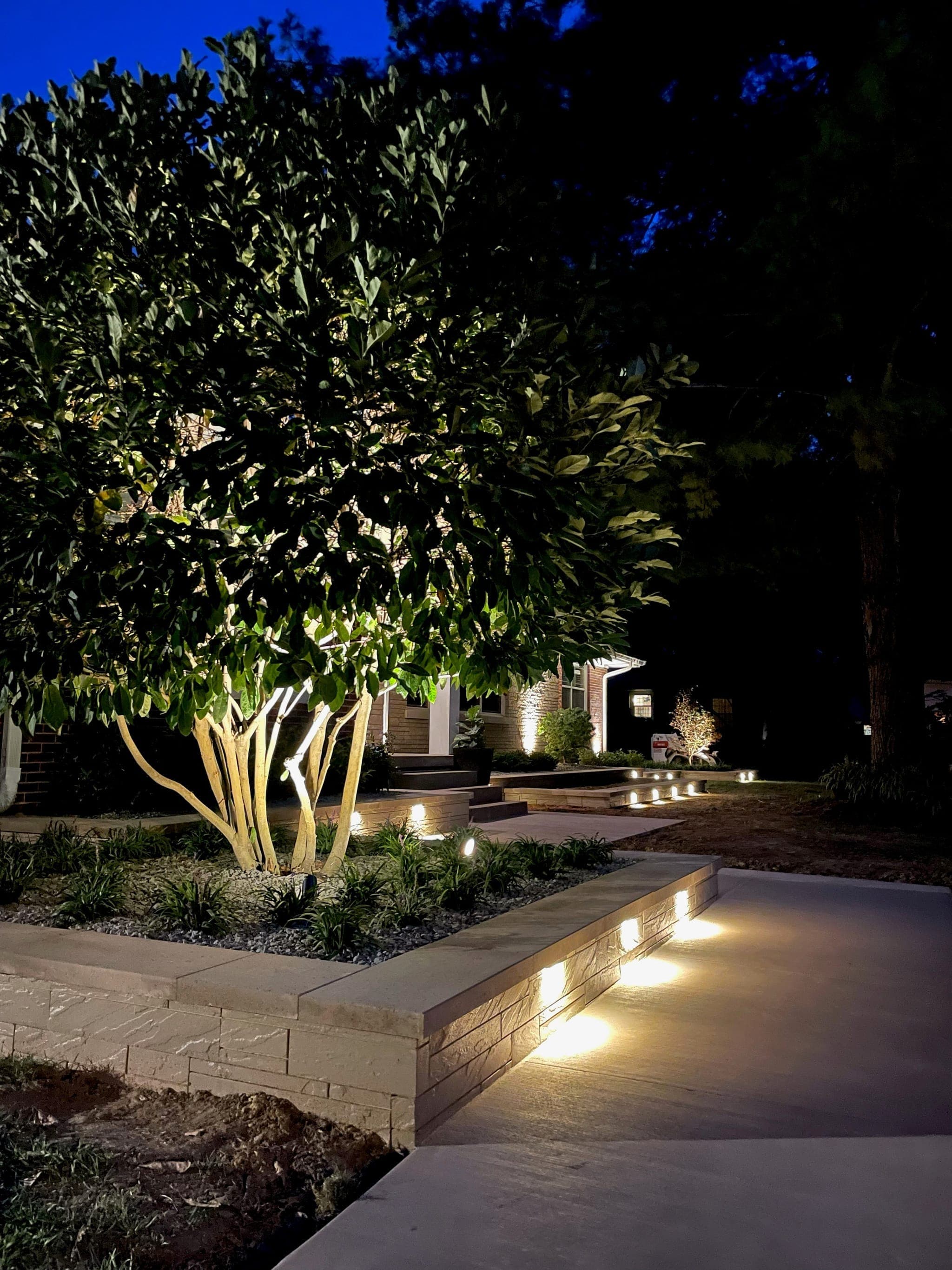 Professional landscape lighting at dusk