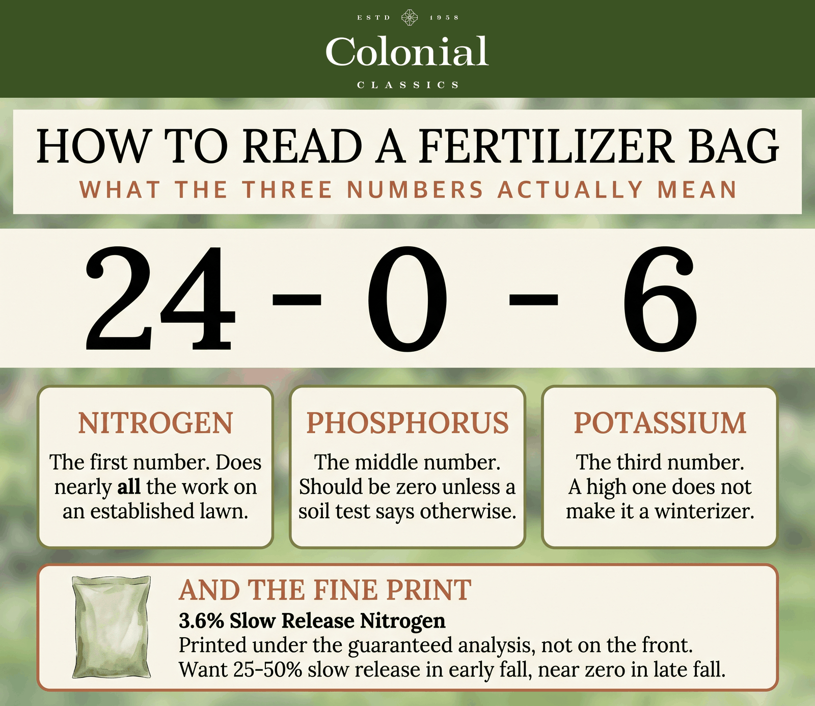 Breakdown of the fertilizer numbers 24-0-6 showing what nitrogen, phosphorus, and potassium each do