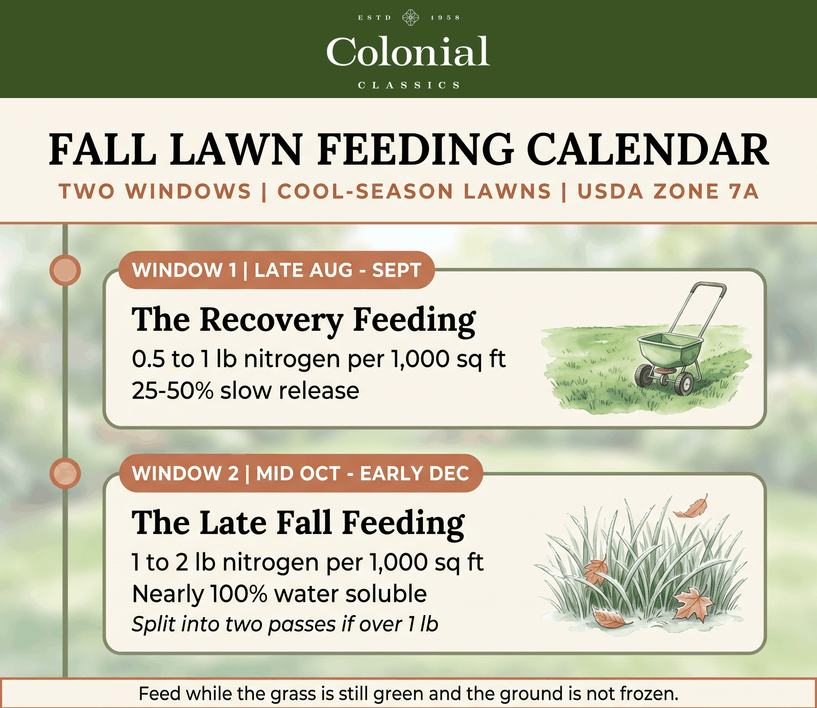 Timeline of the two fall lawn fertilizer windows in Zone 7a, with the rate and nitrogen type for each feeding