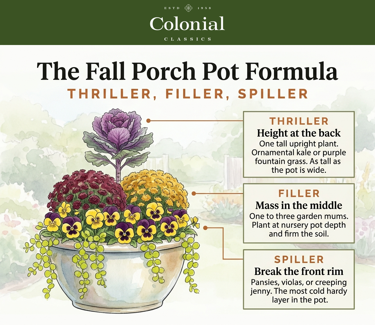 Diagram of the thriller filler spiller formula for a fall porch pot, showing ornamental kale or purple fountain grass as the tall thriller at the back, garden mums as the filler in the middle, and pansies or creeping jenny spilling over the front rim