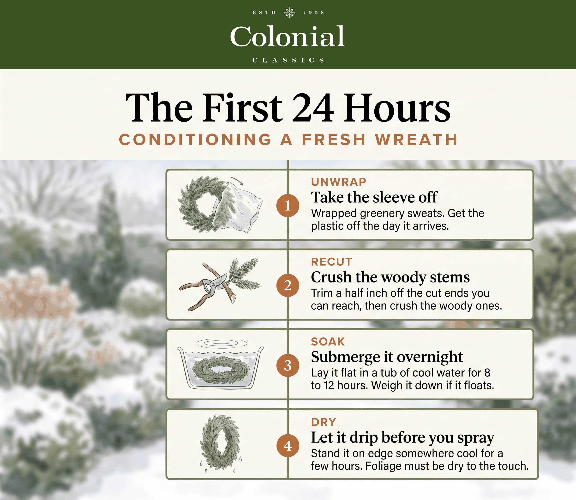 Four step wreath conditioning timeline: unwrap the sleeve, crush the woody stems, soak overnight, then drip dry
