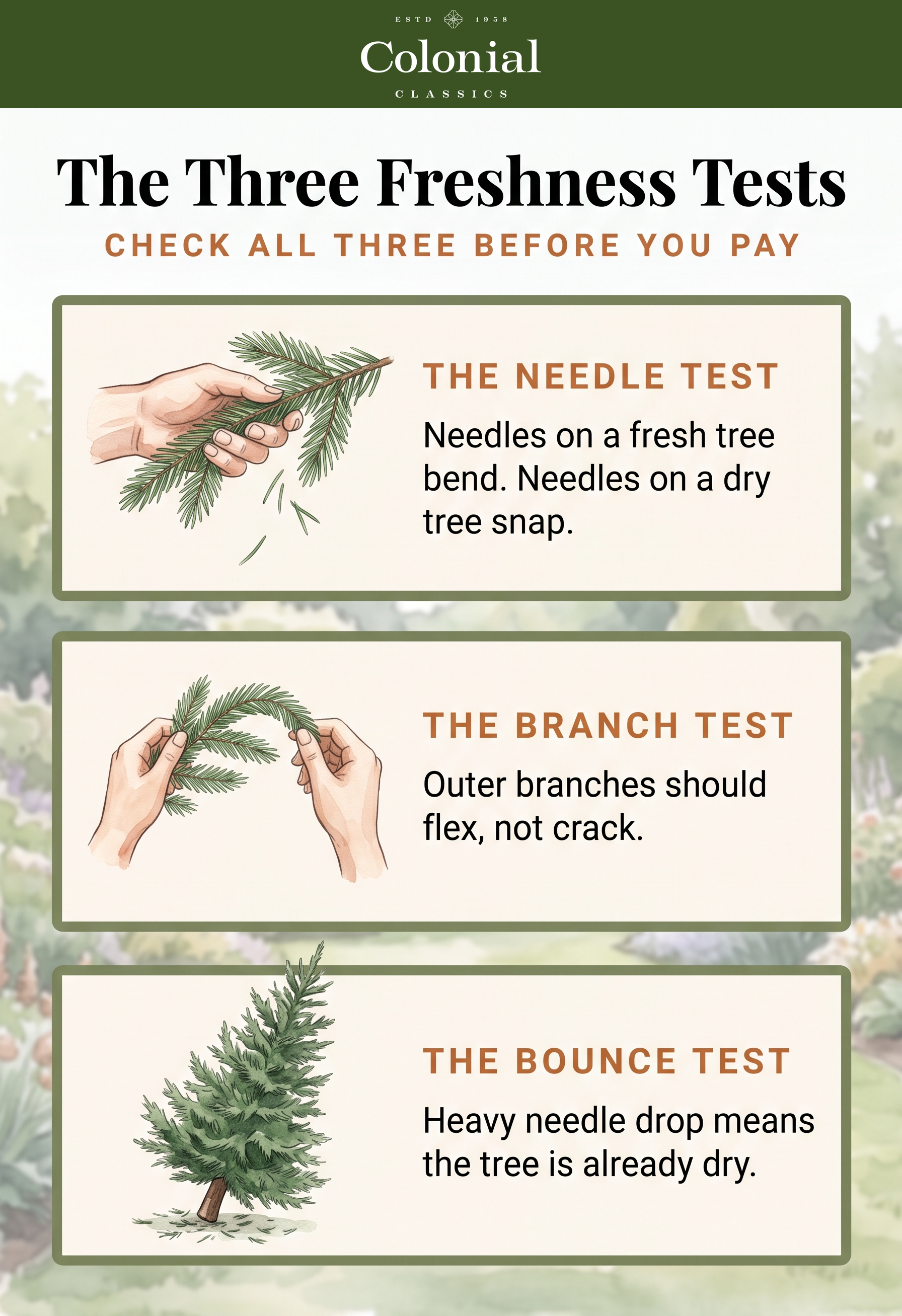 Three-panel diagram showing the needle test of running a hand along a branch, the branch test of bending an outer branch, and the bounce test of dropping the trunk base on the ground