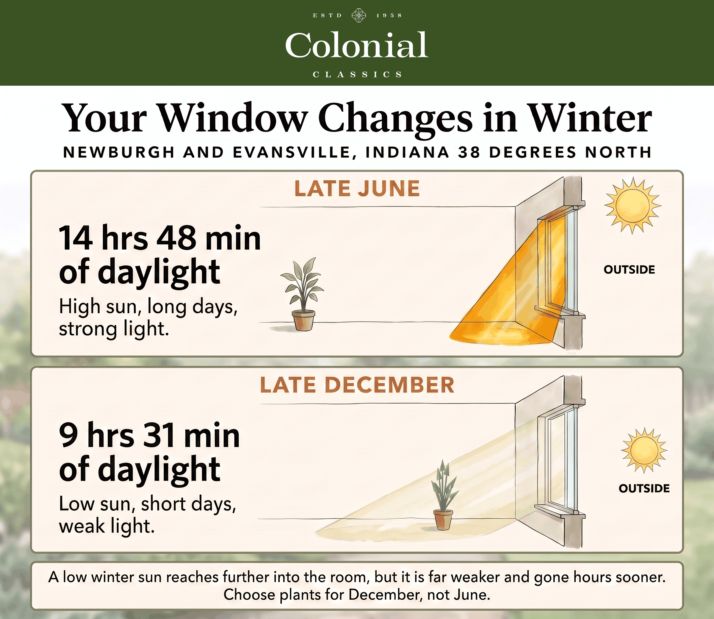 Two room cross sections comparing sunlight through a window in late June and late December in Newburgh Indiana, with daylight falling from 14 hours 48 minutes to 9 hours 31 minutes, a high summer sun casting a short intense patch of light at the window while a potted plant further back sits in shade, and a low winter sun casting a pale patch that stretches across the floor and washes over the same plant