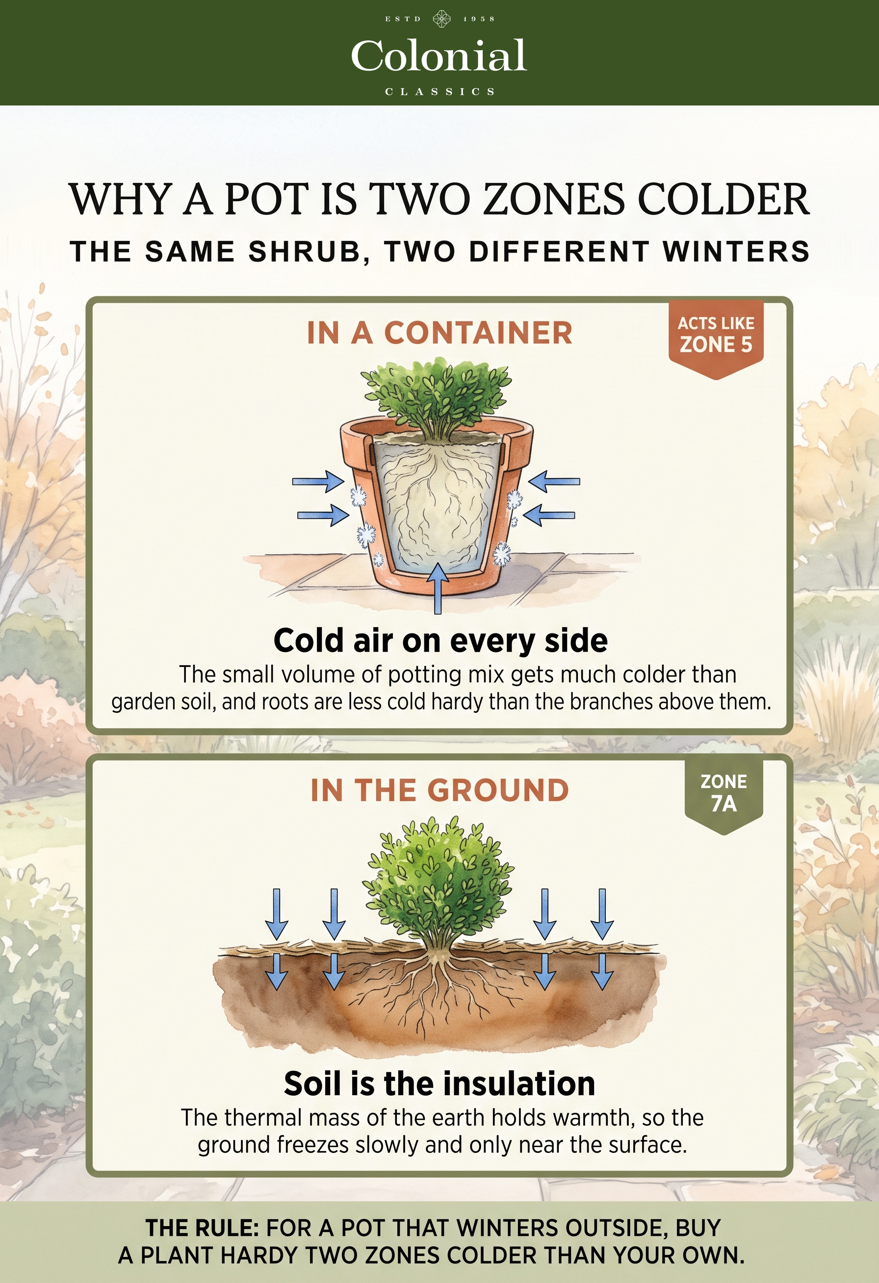 Cross section diagram comparing a plant in an above ground container exposed to cold air on all sides with the same plant in the ground insulated by soil, showing the effective two zone difference in Zone 7a