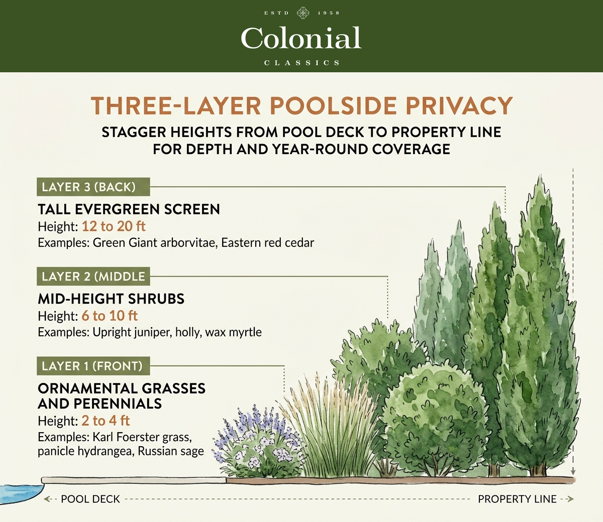 Diagram showing three layers of poolside privacy planting: tall evergreens at the perimeter, mid-height shrubs in the middle, and ornamental grasses or perennials in front