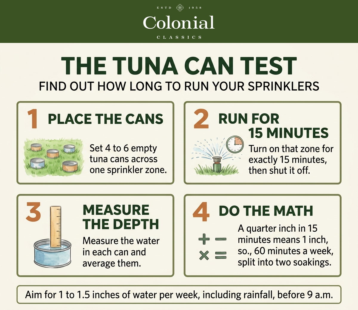 Four step infographic showing the tuna can test for measuring sprinkler output: place empty cans across the lawn, run sprinklers for 15 minutes, measure water depth with a ruler, then calculate total runtime needed for one inch