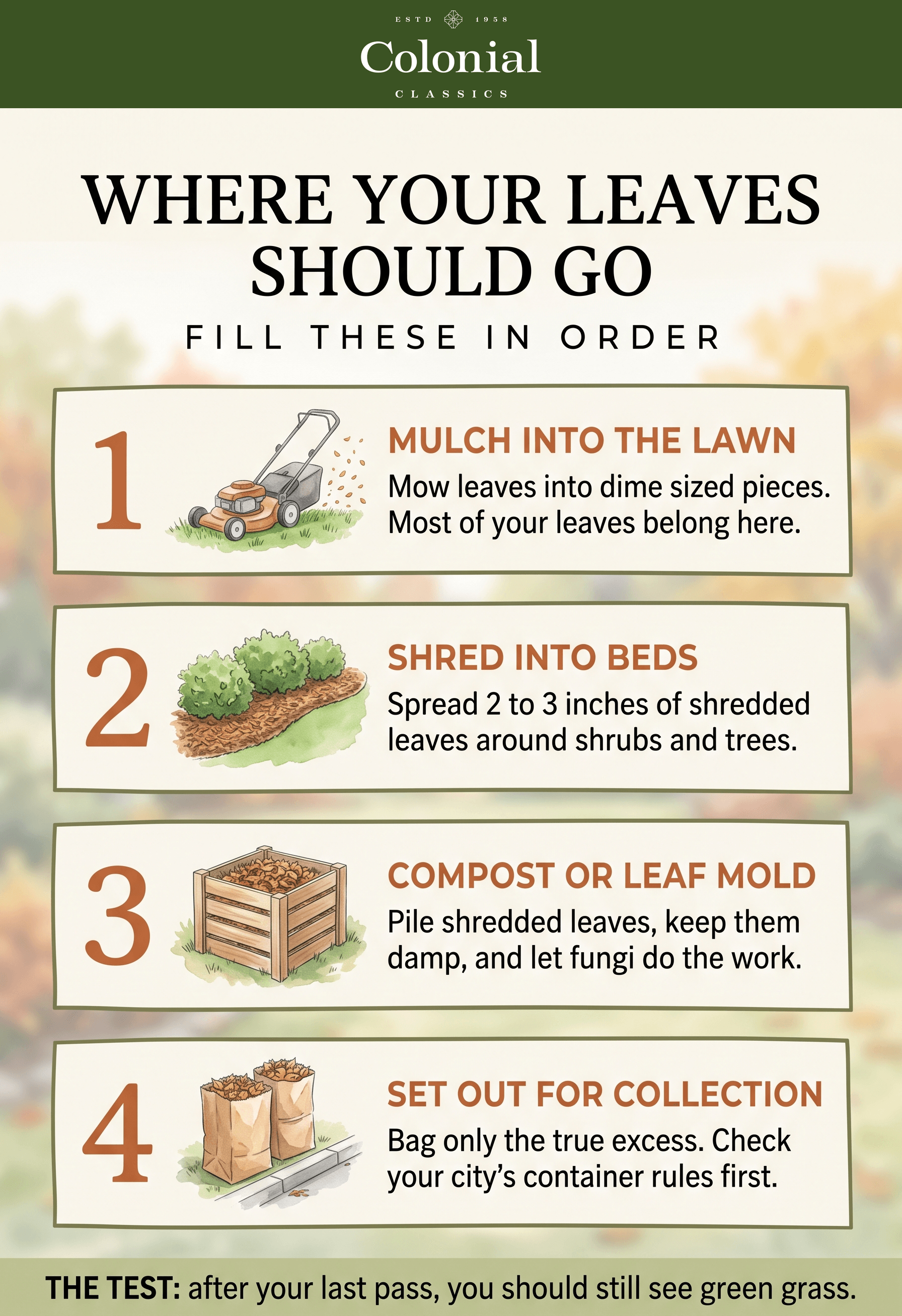 The four places fall leaves should go, in order: mulched into the lawn, shredded into beds, composted, then bagged