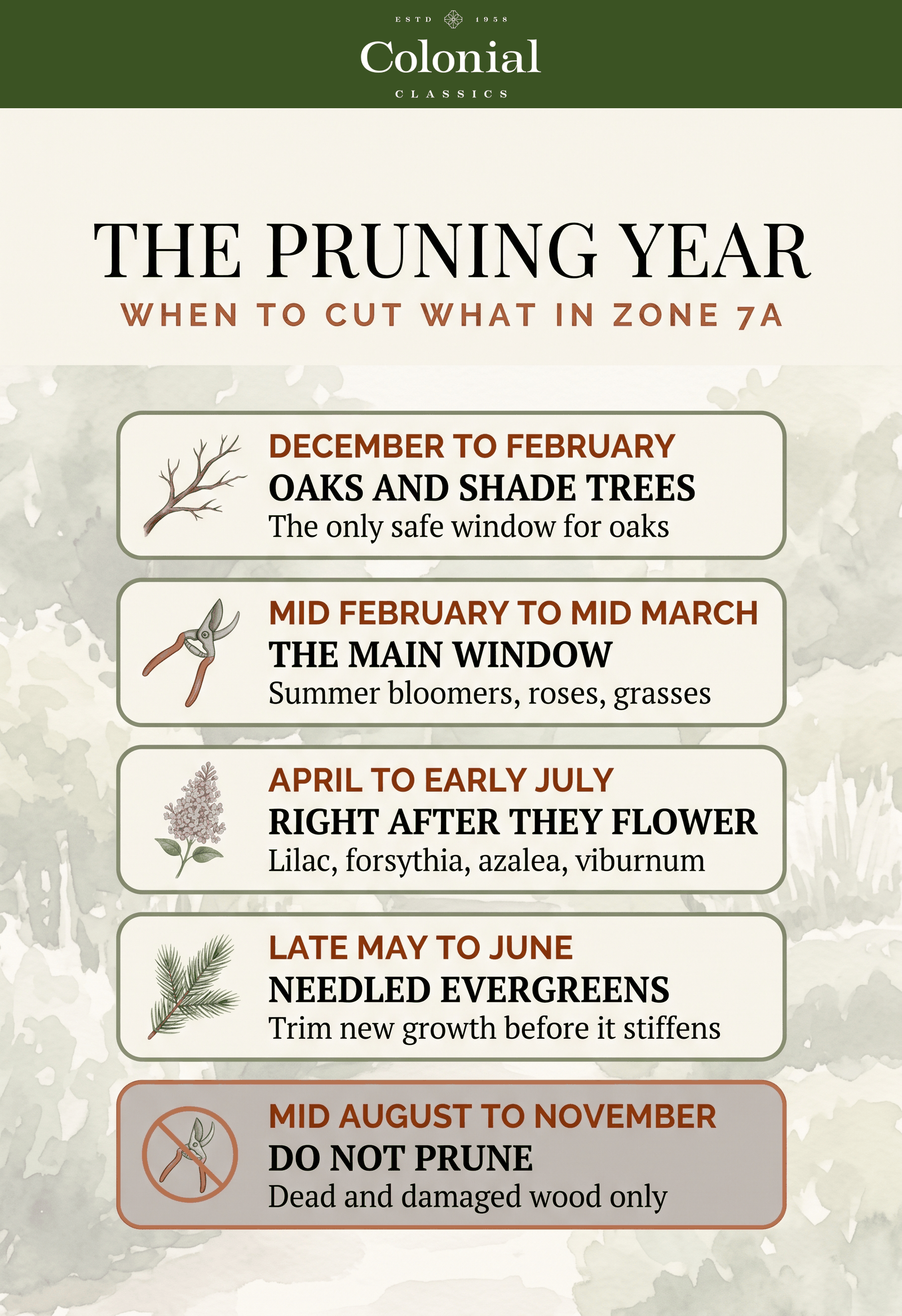 Season by season pruning calendar for Zone 7a marking late winter as the main window and fall as the period to avoid